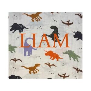 Personalized Infant Bamboo Swaddle Blanket in Dino pattern